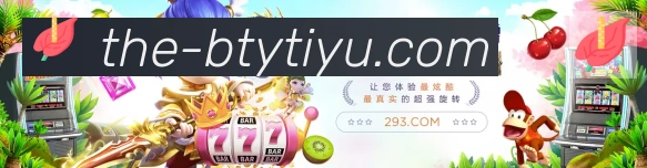 登录器